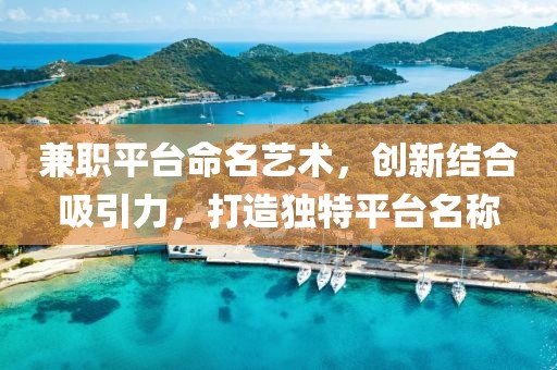 兼职平台命名艺术，创新结合吸引力，打造独特平台名称