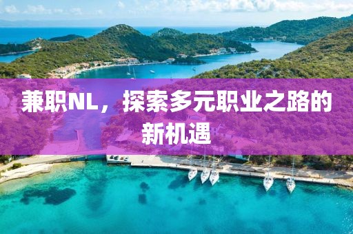 兼职NL，探索多元职业之路的新机遇