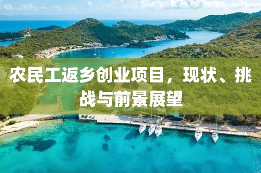 农民工返乡创业项目，现状、挑战与前景展望