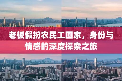 老板假扮农民工回家，身份与情感的深度探索之旅