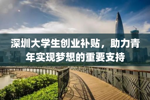 深圳大学生创业补贴，助力青年实现梦想的重要支持