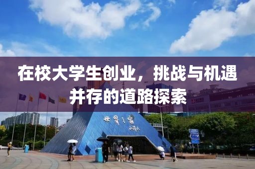 在校大学生创业，挑战与机遇并存的道路探索