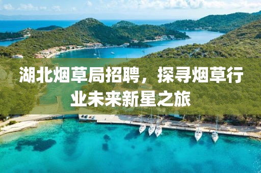 湖北烟草局招聘，探寻烟草行业未来新星之旅