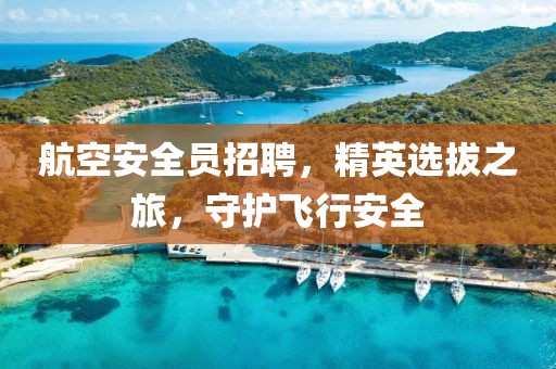 航空安全员招聘，精英选拔之旅，守护飞行安全