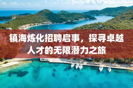 镇海炼化招聘启事，探寻卓越人才的无限潜力之旅