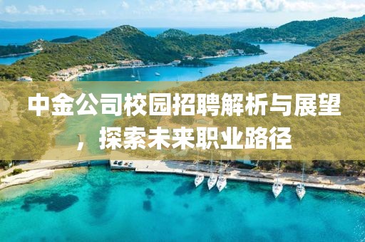 中金公司校园招聘解析与展望，探索未来职业路径