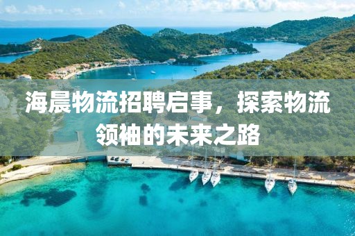 海晨物流招聘启事，探索物流领袖的未来之路