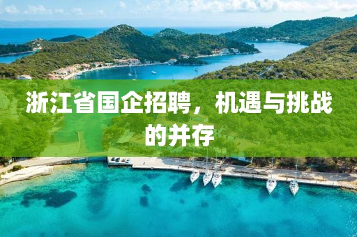 浙江省国企招聘，机遇与挑战的并存