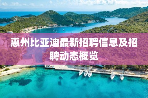 惠州比亚迪最新招聘信息及招聘动态概览