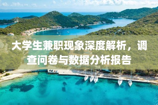 大学生兼职现象深度解析，调查问卷与数据分析报告